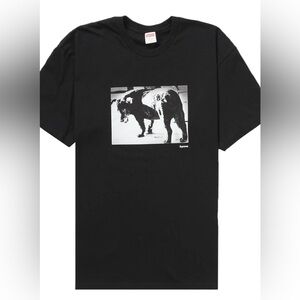 SUPREME x Daido Moriyama Collab Dog tee black XL Brand New sold out very rare!